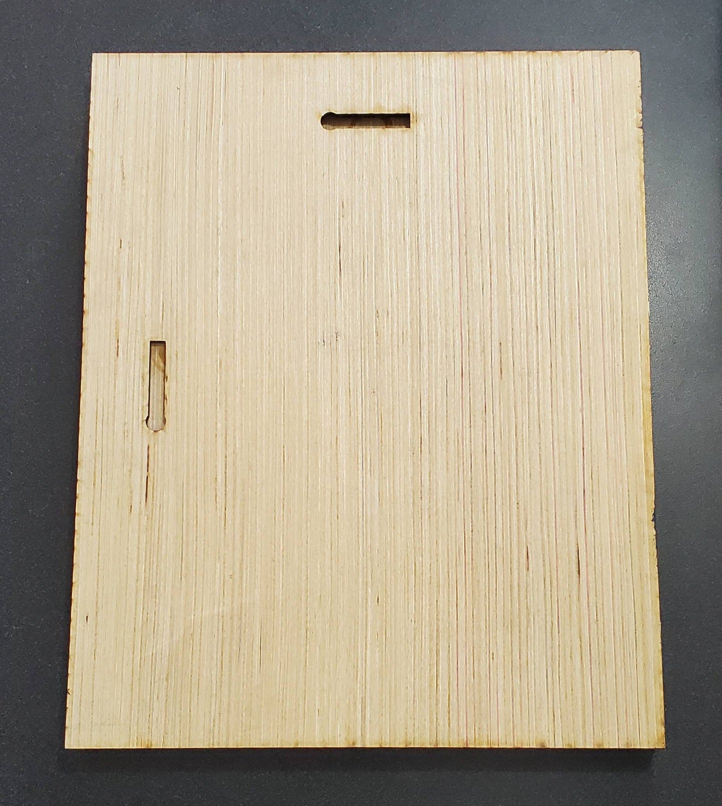 Loon Lake in Chestertown, New York Depth Map - Any Lake, Pond, or Reservoir, Home Decor, Wall Art, Wall Decor