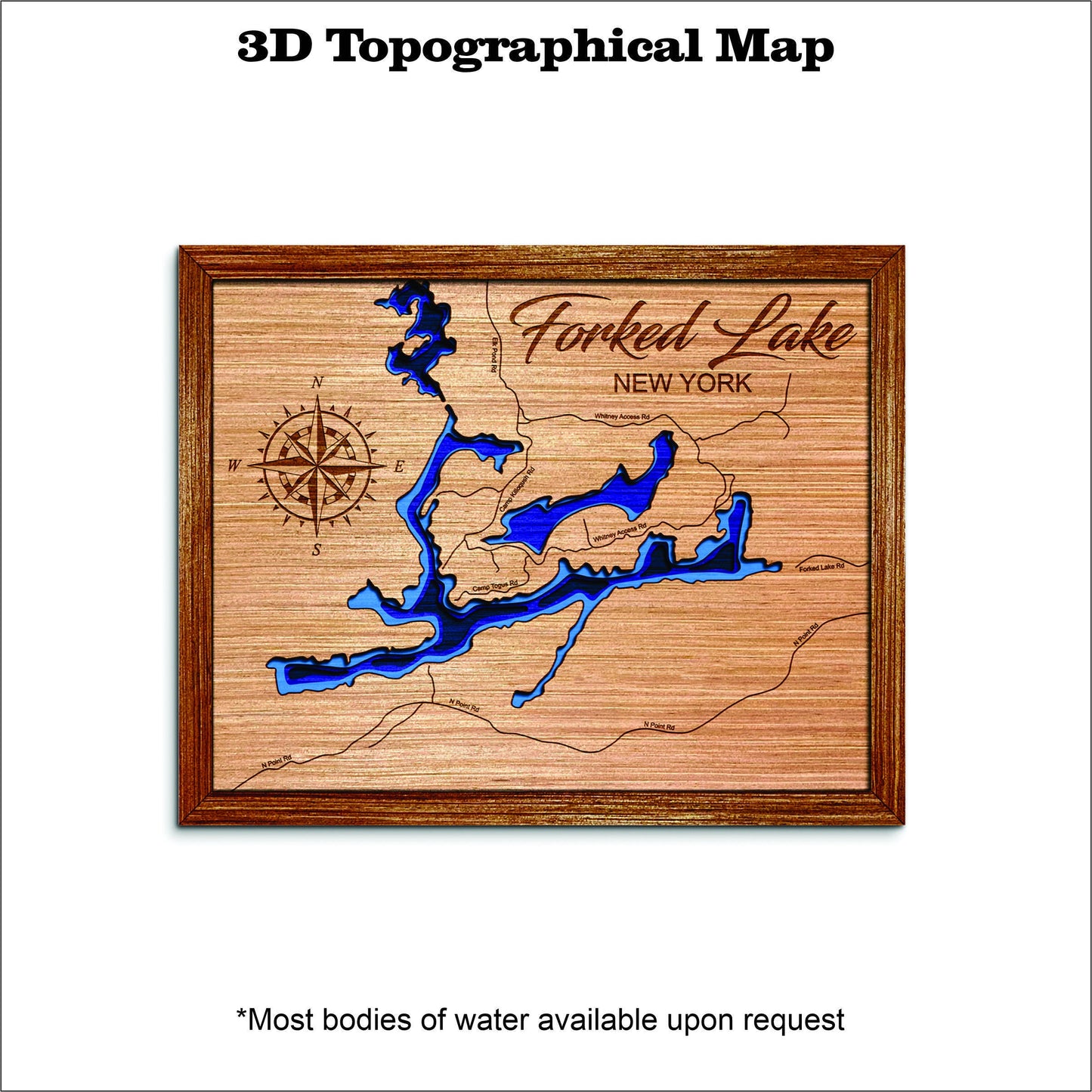 Forked Lake in New York 3D topographical map
