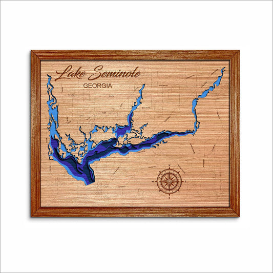 Lake Seminole in Georgia 3D Topographical Map. Lake House Decor.