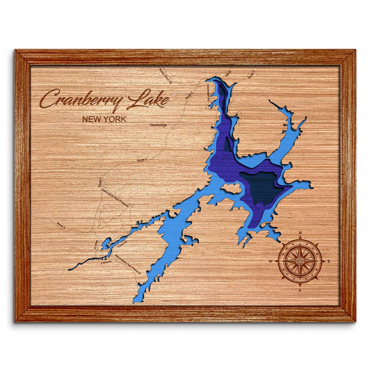 Cranberry Lake, New York Depth Map - Any Lake, Pond, or Reservoir - Unique Home Decor, Wall Art