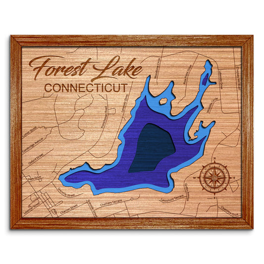 Forest Lake, Connecticut Depth Map - Any Lake, Pond, or Reservoir - Unique Home Decor, Wall Art