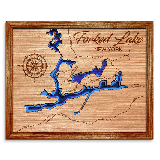 Forked Lake, New York Depth Map - Any Lake, Pond, or Reservoir, Home Decor, Wall Art, wall decor