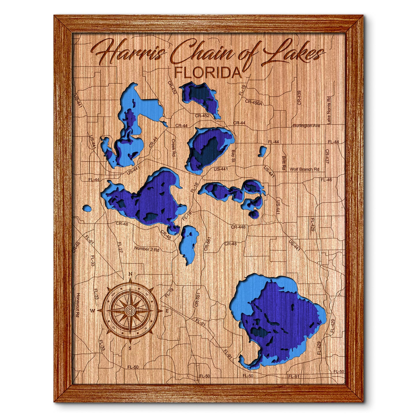 Harris Chain of Lakes, Florida Depth Map - Any Lake, Pond, or Reservoir, Home Decor, Wall Art, Wall Decor