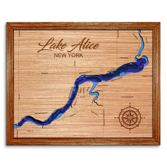 Lake Alice in Waterport, New York Depth Map - Any Lake, Pond, or Reservoir, Home Decor, Wall Art, Wall Decor