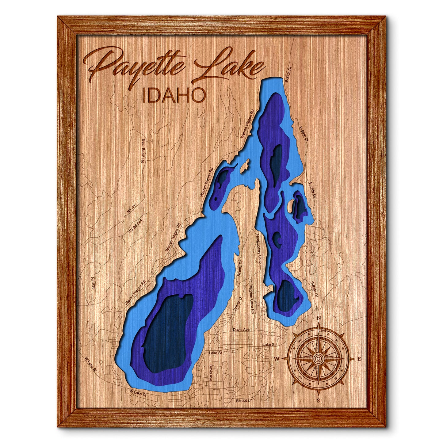 Payette Lake, Idaho Depth Map - Any Lake, Pond, or Reservoir, Home Decor, Wall Art, Wall Decor