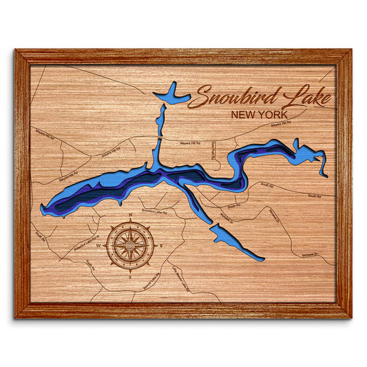Snowbird Lake in Forestport, NY Depth Map - Any Lake, Pond, or Reservoir, Home Decor, Wall Art, Wall Decor
