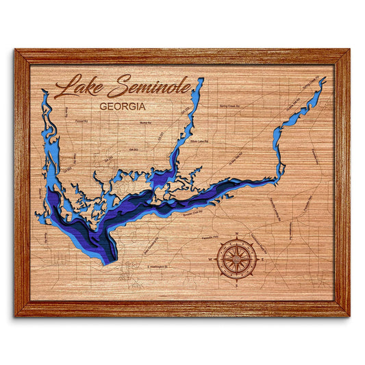 Lake Seminole, Georgia Depth Map - Any Lake, Pond, or Reservoir, Home Decor, Wall Art, Wall Decor